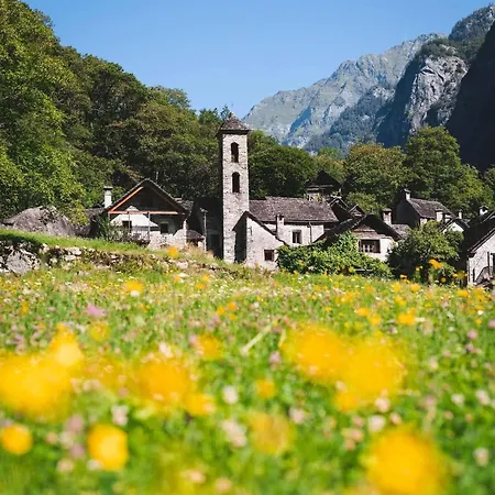 One Only Losone