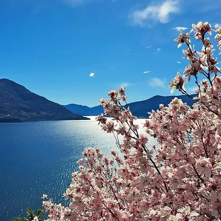 One Only Apartment Losone